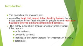 Introduction
 The opportunistic mycoses are;
 caused by fungi that cannot infect healthy humans but can
cause serious often fatal mycoses in people whose resistance
has been lowered (immunocompromised patients).
 The highly susceptible groups for opportunistic fungal
infection are
 AIDs patients,
Leukemic patients,
individuals on chemotherapy for treatment of cancer,
alcoholics.
 