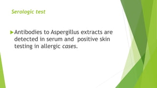 Serologic test
Antibodies to Aspergillus extracts are
detected in serum and positive skin
testing in allergic cases.
 