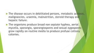  The disease occurs in debilitated persons, metabolic acidosis,
malignancies, uraemia, malnutrition, steroid therapy and
hepatic failure.
 The organisms produce broad non septate hyphea, aerial
mycelia, sporangia, sporangiospores and sexual zygospores;
grow rapidly on routine media to produce profuse cottony
colonies.
 