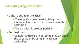 Laboratory diagnosis cont’d…
 Culture and identification
 The organism grows easily giving rise to
mucoid colonies with the typical capsulated
yeast cells.
The organism is ureases positive.
 Serologic test
Capsular antigens are detected in C.S.F and in
the circulation by using anticapsular
antibodies.
 