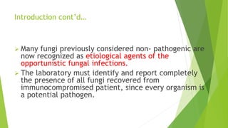 Introduction cont’d…
 Many fungi previously considered non- pathogenic are
now recognized as etiological agents of the
opportunistic fungal infections.
 The laboratory must identify and report completely
the presence of all fungi recovered from
immunocompromised patient, since every organism is
a potential pathogen.
 
