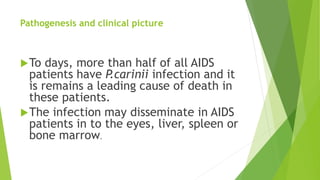 Pathogenesis and clinical picture
To days, more than half of all AIDS
patients have P.carinii infection and it
is remains a leading cause of death in
these patients.
The infection may disseminate in AIDS
patients in to the eyes, liver, spleen or
bone marrow.
 