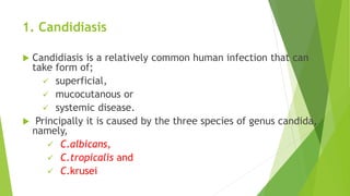 1. Candidiasis
 Candidiasis is a relatively common human infection that can
take form of;
 superficial,
 mucocutanous or
 systemic disease.
 Principally it is caused by the three species of genus candida,
namely,
 C.albicans,
 C.tropicalis and
 C.krusei
 