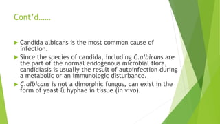 Cont’d……
 Candida albicans is the most common cause of
infection.
 Since the species of candida, including C.albicans are
the part of the normal endogenous microbial flora,
candidiasis is usually the result of autoinfection during
a metabolic or an immunologic disturbance.
 C.albicans is not a dimorphic fungus, can exist in the
form of yeast & hyphae in tissue (in vivo).
 