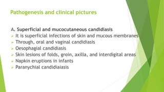 Pathogenesis and clinical pictures
A. Superficial and mucocutaneous candidiasis
 It is superficial infections of skin and mucous membranes
 Through, oral and vaginal candidiasis
 Oesophagial candidiasis
 Skin lesions of folds, groin, axilla, and interdigital areas
 Napkin eruptions in infants
 Paranychial candidiaiasis
 