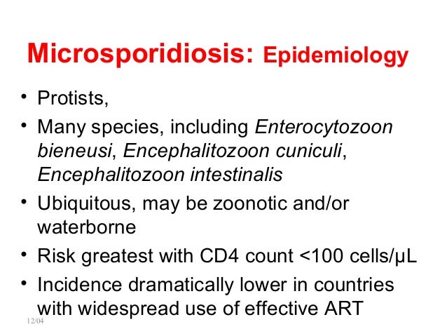 Opportunistic parasitic infections