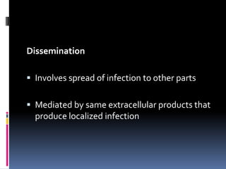 Dissemination

 Involves spread of infection to other parts


 Mediated by same extracellular products that
  produce localized infection
 