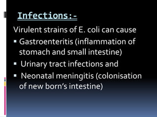 Infections:-
Virulent strains of E. coli can cause
 Gastroenteritis (inflammation of
  stomach and small intestine)
 Urinary tract infections and
 Neonatal meningitis (colonisation
  of new born’s intestine)
 