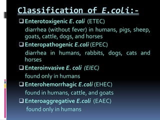 Classification of E.coli:-
 Enterotoxigenic E. coli (ETEC)
  diarrhea (without fever) in humans, pigs, sheep,
  goats, cattle, dogs, and horses
 Enteropathogenic E.coli (EPEC)
  diarrhea in humans, rabbits, dogs, cats and
  horses
 Enteroinvasive E. coli (EIEC)
  found only in humans
 Enterohemorrhagic E.coli (EHEC)
  found in humans, cattle, and goats
 Enteroaggregative E.coli (EAEC)
   found only in humans
 