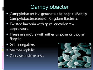 Campylobacterr
             Campylobacter
    Campylobacter is a genus that belongs to Family
    Campylobacteraceae of Kingdom Bacteria.
   Twisted bacteria with spiral or corkscrew
    appearance.
   These are motile with either unipolar or bipolar
    flagella
   Gram-negative.
   Microaerophilic
   Oxidase positive test.
 