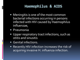 Haemophilus & AIDS

 Meningitis is one of the most common
    bacterial infections occurring in persons
    infected with HIV caused by Haemophilus
    influenzae,
   Pneumonia
   Upper respiratory tract infections, such as
    otitis and sinusitis
   Genital infections.
   Recently HIV infection increases the risk of
    acquiring invasive H. influenza infection.
 