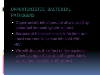 OPPORTUNISTIC BACTERIAL
PATHOGENS
 Oppertunistic infections are also caused by
  abnormal immune system of host
 Because of this reason such infections are
  most common in person infected with
 HIV.
 We will discuss the effect of five bacterial
  genera as oppertunistic pathogens due to
  weak immune system of the host
 