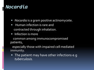 Nocardia

  Nocardia is a gram positive actinomycete.
  Human infection is rare and
    contracted through inhalation.
   Infection is more
   common among immunocompromised
 patients,
   especially those with impaired cell mediated
 immunity.
   The patient may have other infections e.g
   tuberculosis.
 