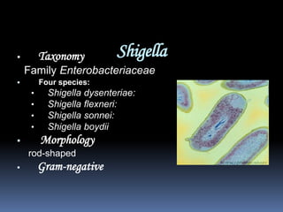         Taxonomy          Shigella
    Family Enterobacteriaceae
        Four species:
     •     Shigella dysenteriae:
     •     Shigella flexneri:
     •     Shigella sonnei:
     •     Shigella boydii
        Morphology
    rod-shaped
        Gram-negative
 