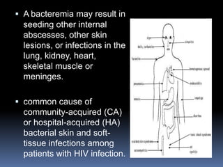  A bacteremia may result in
  seeding other internal
  abscesses, other skin
  lesions, or infections in the
  lung, kidney, heart,
  skeletal muscle or
  meninges.

 common cause of
  community-acquired (CA)
  or hospital-acquired (HA)
  bacterial skin and soft-
  tissue infections among
  patients with HIV infection.
 