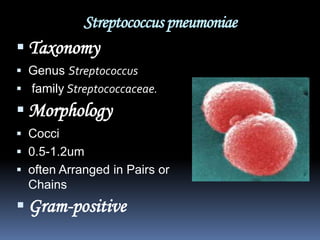 Streptococcus pneumoniae
 Taxonomy
 Genus Streptococcus
 family Streptococcaceae.
 Morphology
 Cocci
 0.5-1.2um
 often Arranged in Pairs or
  Chains
 Gram-positive
 