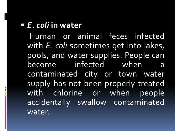opportunistic pathogen
