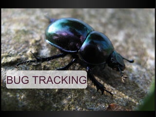 BUG TRACKING
 