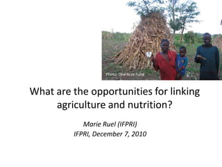 Photo: One Acre Fund What are the opportunities for linking agriculture and nutrition? Marie Ruel (IFPRI) IFPRI, December 7, 2010 