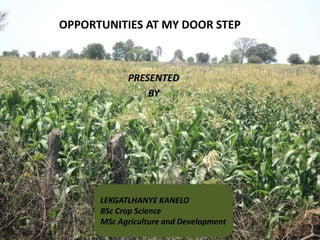 OPPORTUNITIES AT MY DOOR STEP 
PRESENTED 
BY 
LEKGATLHANYE KANELO 
BSc Crop Science 
MSc Agriculture and Development 
 