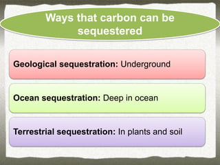 Opportunities & challenges of soil carbon sequestration in indian ...
