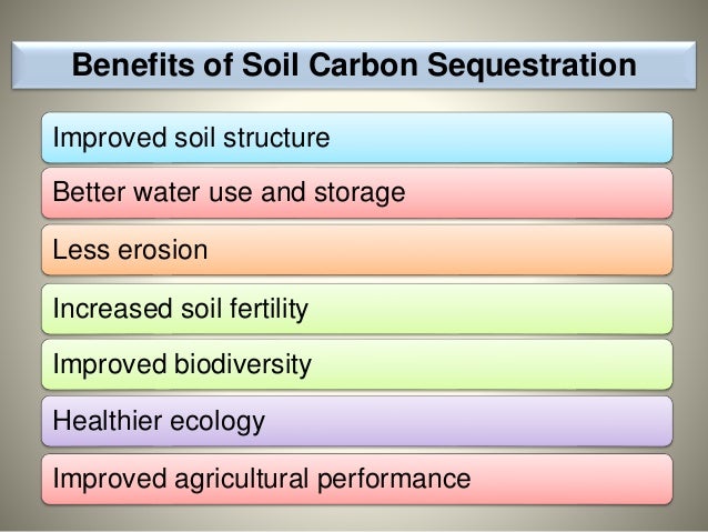 Opportunities Challenges Of Soil Carbon Sequestration In Indian Con