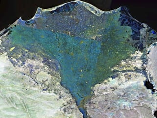 Opportunities for decision support  in the open data era