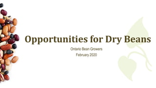 Opportunities for Dry Beans
Ontario Bean Growers
February 2020
 