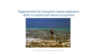 Opportunities for ecosystem-based adaptation
(EbA) in coastal and marine ecosystems
Scaling-up Adaptation in the Agricultural Sectors (SAAS) series
 
