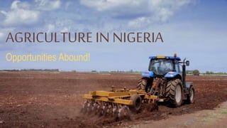 AGRICULTURE IN NIGERIA
Opportunities Abound!
 