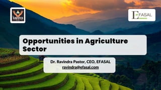 Opportunities in Agriculture
Sector
 