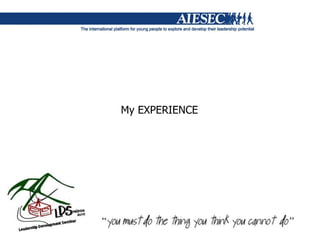 My EXPERIENCE 
