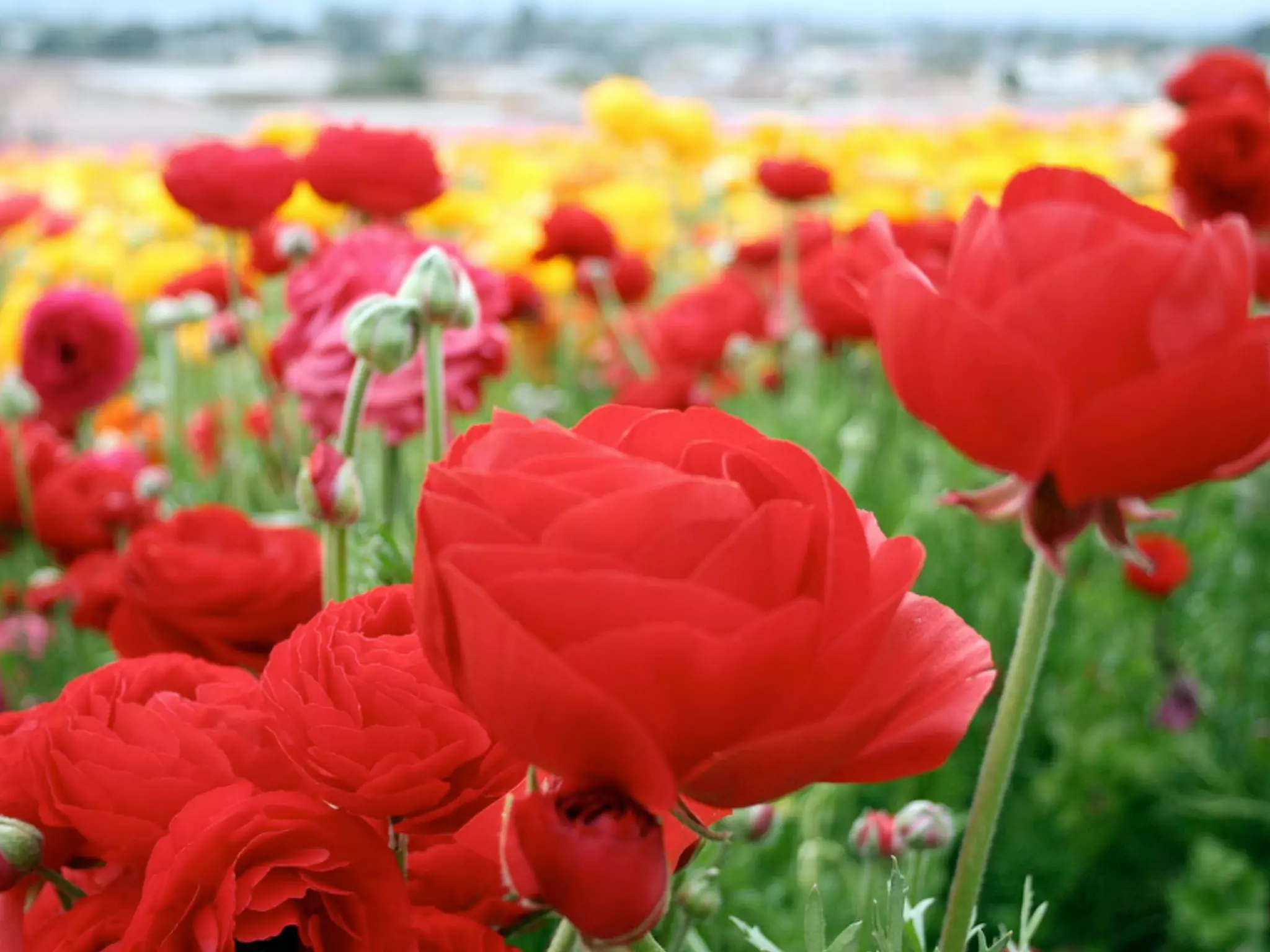 Opportunity for sustainability