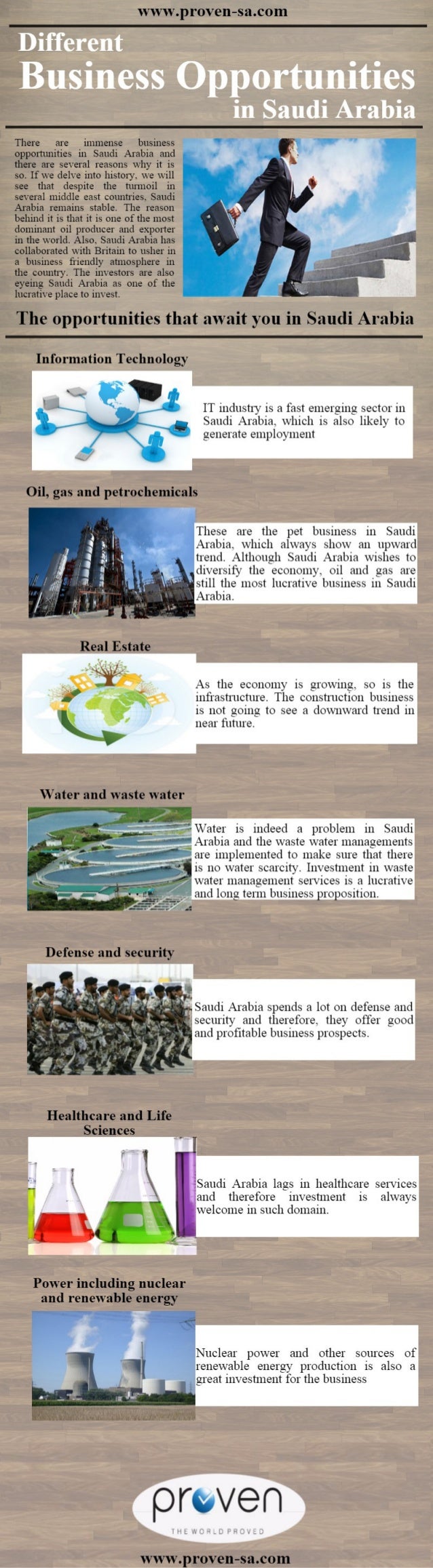 What are the Main Business opportunities in Saudi Arabia?