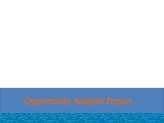 Opportunity Analysis Project
 