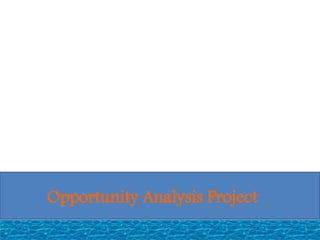 Opportunity Analysis Project
 