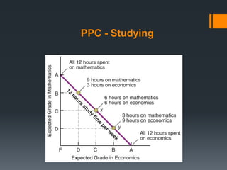 PPC - Studying
 