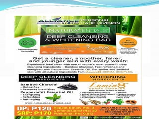 OFW Opportunity plan presentation