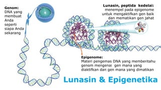 Lunasin & Epigenetika 
Genom: 
DNA yang 
membuat 
Anda 
seperti 
siapa Anda 
sekarang 
Lunasin, peptida kedelai: 
menempel pada epigenome 
untuk mengaktifkan gen baik 
dan mematikan gen jahat 
Epigenome: 
Materi pengemas DNA yang memberitahu 
genom mengenai gen mana yang 
diaktifkan dan gen mana yang dimatikan 
 