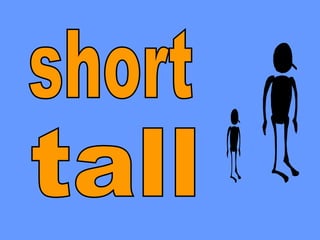 tall short 