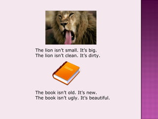 The lion isn’t small. It’s big. The lion isn’t clean. It’s dirty. The book isn’t old. It’s new. The book isn’t ugly. It’s beautiful. 