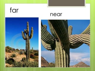 far 
near 
 