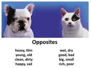 Opposites
heavy, thin
young, old
clean, dirty
happy, sad
wet, dry
good, bad
big, small
rich, poor
Opposites
 