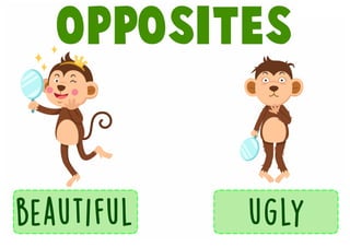 opposite flashcards-adjectives-6th grade