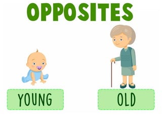 opposite flashcards-adjectives-6th grade