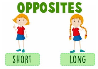 opposite flashcards-adjectives-6th grade