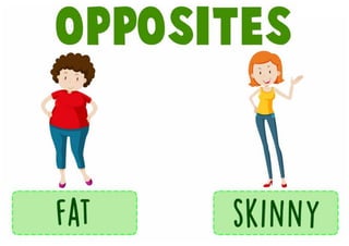 opposite flashcards-adjectives-6th grade