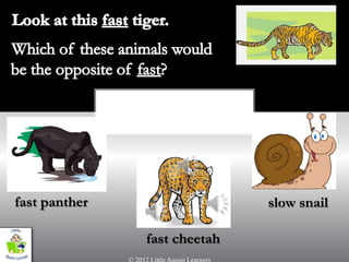 short


fast panther                  slow snail

               fast cheetah
 