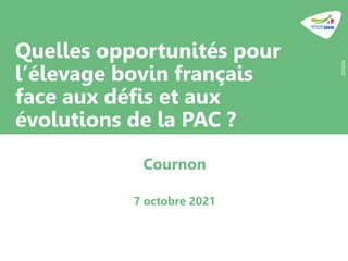Quelles opportunités pour
l’élevage bovin français
face aux défis et aux
évolutions de la PAC ?
©OSON
Cournon
7 octobre 2021
 
