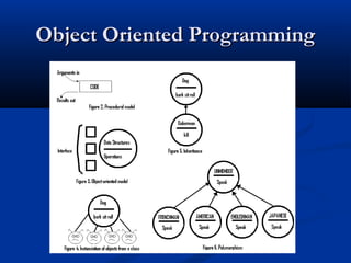 Object Oriented ProgrammingObject Oriented Programming
 